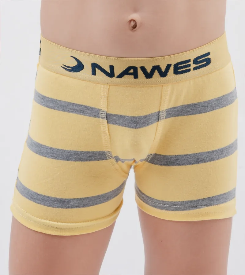 Cueca Boxer em cotton básica